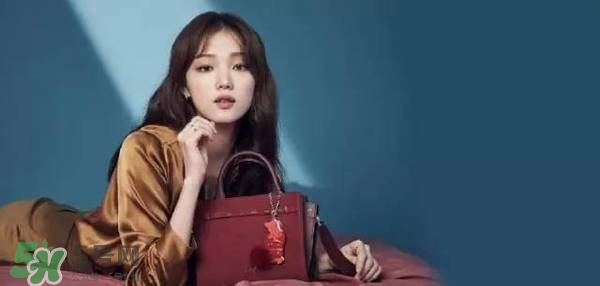 李圣經(jīng)的包包什么牌子？李圣經(jīng)包包同款