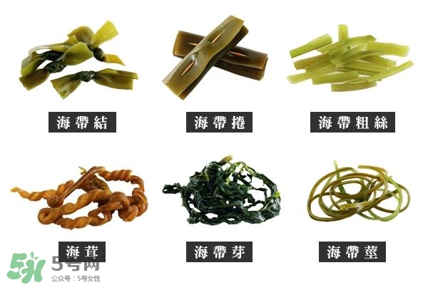 海帶上的白霜是什么？海帶上面有白色的東西那是什么