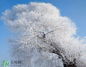 2017年第一場(chǎng)雪什么時(shí)候？2017年什么時(shí)候下雪？