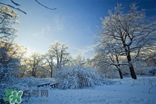 2017年過年天氣怎么樣？2017過年會(huì)下雨嗎？