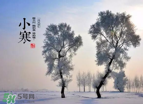 小寒和大寒哪個(gè)冷？小寒大寒什么意思？