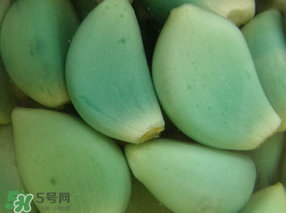 臘八醋里的蒜能吃嗎？臘八醋里的蒜好吃嗎？