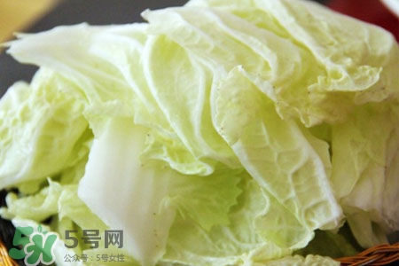 2017過年白菜會漲價嗎？2017年春節(jié)白菜價格預(yù)測