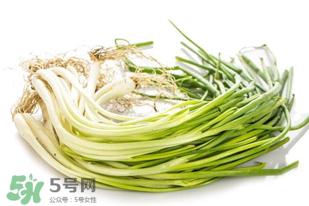 2017過年小蔥會漲價嗎？2017年春節(jié)小蔥價格預測