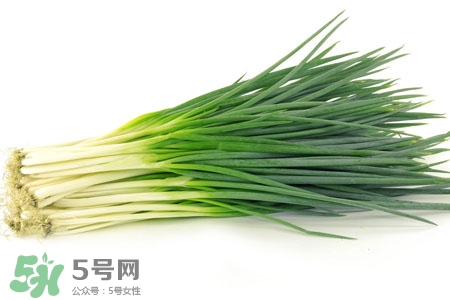 2017過年小蔥會漲價嗎？2017年春節(jié)小蔥價格預測