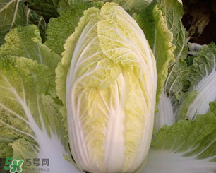 白菜葉子上的小黑點是什么？白菜葉子上有黑點能吃嗎？