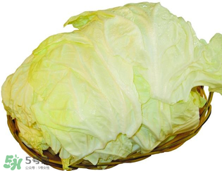 白菜發(fā)苦能吃嗎？大白菜發(fā)苦是什么原因？
