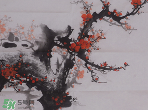 梅花可以放臥室嗎？梅花放在臥室風(fēng)水好嗎？