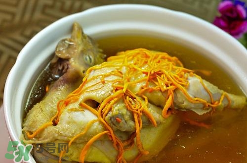 蟲(chóng)草花怎么吃？蟲(chóng)草花的吃法用量