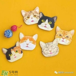 felissimo貓爪化妝棉多少錢？felissimo貓爪化妝棉哪里買？