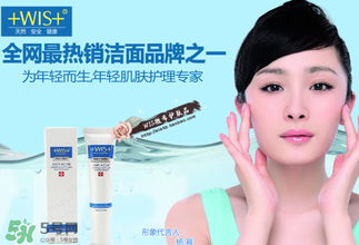 wis是哪個(gè)國(guó)家的品牌？wis是什么牌子？