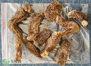野生肉蓯蓉多少錢一斤？肉蓯蓉價格一斤多少錢？