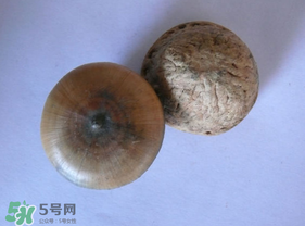 風(fēng)流果多少錢一斤？風(fēng)流果的價(jià)格