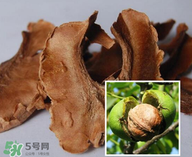 核桃分心木能長期喝嗎？核桃分心木一天喝幾次？
