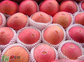 阿克蘇蘋(píng)果脆嗎？阿克蘇蘋(píng)果是粉蘋(píng)果還是脆蘋(píng)果？