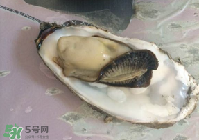 生蠔多少錢一斤？生蠔一斤有幾個(gè)？