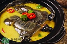 有乙肝可以吃甲魚嗎？乙肝患者禁吃甲魚