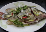 桂魚蒸多長時(shí)間？桂魚水開后蒸多長時(shí)間？