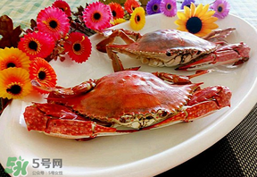 臘月吃什么蟹？臘月吃公蟹還是母蟹？