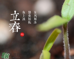 立春吃什么蔬菜？立春時令蔬菜推薦