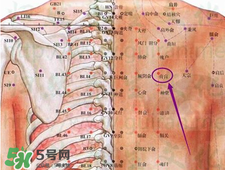 膏肓的準確位置圖 膏肓穴痛跟什么有關(guān)