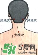 膏肓的準確位置圖 膏肓穴痛跟什么有關(guān)