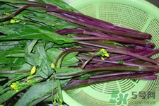 紅菜苔苦的可以吃嗎？紅菜苔很苦可以吃嗎？