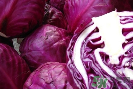 紫甘藍(lán)是轉(zhuǎn)基因食品嗎？紫甘藍(lán)是轉(zhuǎn)基因蔬菜嗎？