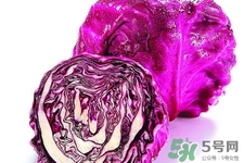 涼拌紫甘藍(lán)用焯水嗎？紫甘藍(lán)涼拌需要焯水嗎？
