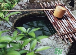井華水是什么？井華水的含義