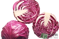 紫甘藍熱量高嗎？吃紫甘藍可以減肥嗎？