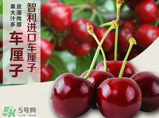 車?yán)遄恿验_能吃嗎？車?yán)遄訛槭裁磿验_？