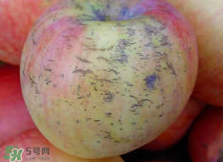 蘋果裂紋能吃嗎？蘋果裂紋是怎么回事？