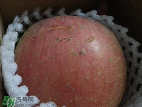蘋果裂紋能吃嗎？蘋果裂紋是怎么回事？