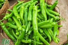 尖椒怎么太辣怎么辦？尖椒怎么炒不辣？