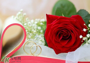 情人節(jié)送什么顏色的玫瑰花好？情人節(jié)送幾朵玫瑰花好？