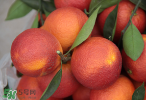 血橙多少錢一斤？四川血橙多少錢一斤？