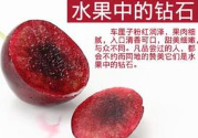 車?yán)遄永先丝梢猿詥幔坷先丝梢猿攒嚴(yán)遄訂幔?><p><strong>車?yán)遄永先丝梢猿詥?？老人可以吃車?yán)遄訂幔?/strong></p></a></li> <li><a href=