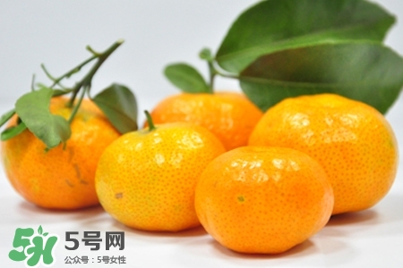 蜜桔怎么保存？蜜桔的保存方法