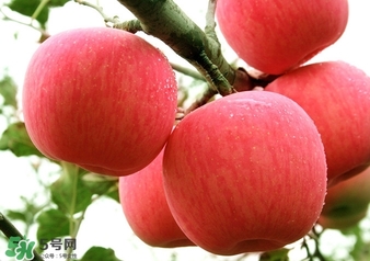 冬天蘋(píng)果太涼怎么吃？冬天蘋(píng)果太涼怎么給寶寶吃？