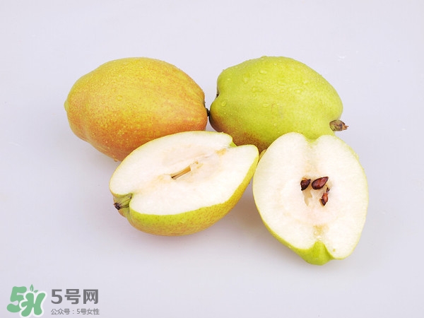 庫爾勒香梨分公母嗎？庫爾勒香梨怎么分公母？
