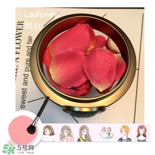 laduree拉杜麗5周年限定玫瑰腮紅多少錢？
