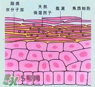 敷面膜真的有效嗎？敷面膜真的有用嗎？