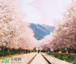 3月份去韓國穿什么？三月份去韓國穿什么衣服？