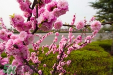 春季養(yǎng)生需注意什么？春季養(yǎng)生宜分三個時間段
