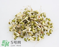 黃豆芽能做餡料嗎？黃豆芽餡包子怎么做？