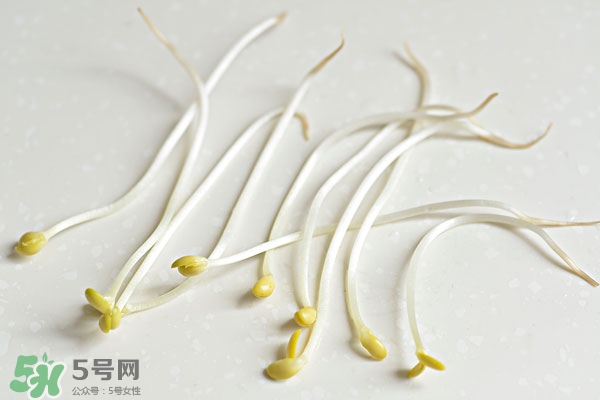 黃豆芽能做餡料嗎？黃豆芽餡包子怎么做？