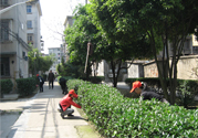 春天吃什么養(yǎng)肝？春季吃什么養(yǎng)肝護肝？