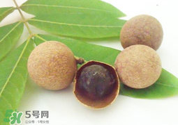 桂圓干多少錢(qián)一斤？干桂圓多少錢(qián)一斤？