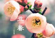 立春后種什么花？立春時開的花有哪些？